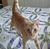 Jackie Schmidt-Trippe's profile image