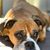 Patti Blumen's profile image