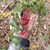 Steven J Kootenai's profile image
