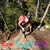 Anne Pucine's profile image