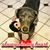 Kari Ann Scott's profile image