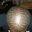 Brandyn Powell's profile image