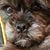Laura Quin Pisani's profile image