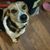 Lisa Evans Carroll's profile image