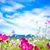 Jenny Sayles's profile image