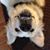 David W Brzezowski's profile image