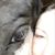 Kelly Malia Stanford's profile image