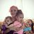 Faith Marie Schafnitz's profile image