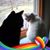 Elizabeth Harlis's profile image
