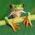 Cinira San's profile image