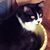 Valerie Jewell's profile image