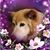 Ginger Schmuck Reid's profile image
