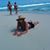 Leslie Schmidt's profile image