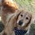 Molly Loetscher's profile image