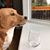 Pamela N Dan Smulders's profile image