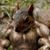 Dûtch Khean's profile image