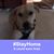 Mary Ann Ruth Whitaker's profile image