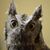Becca Ridgeway's profile image