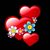 Shannon Gallimore's profile image