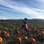 Riane Richards's profile image