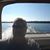 Jason Deprez's profile image