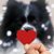 Kim Olesen's profile image