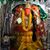 Tejal Patel's profile image