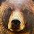 Kevin R Stone's profile image