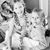 Alecia Ohnemus's profile image