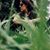 Monia Pagani's profile image