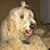Monica Pyron Muncher's profile image