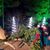JoAnne Pennington Partin's profile image