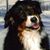 Dorothy Wade's profile image