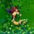 Barbara Zeigler's profile image
