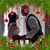 Mike Vlk's profile image