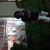 Debra Howard's profile image