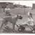 Diane Dawson Robinson's profile image