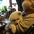 Judy Quinlan's profile image