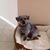 Carol DiMaggio's profile image