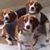 Ellen Elizabeth Nevins's profile image
