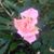 Brenda Joe Kuhlmann's profile image