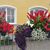 Vicki Pennington's profile image
