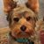 Barb Killeen's profile image