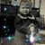 Patricia Ann von Glahn's profile image