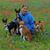 Denise A Vertrees's profile image