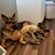 Michele Cullins's profile image
