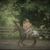 Diane Royall's profile image