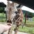 Donna Mulcahy's profile image