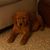 Kathy Russell's profile image