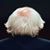 Kim Nielsen's profile image